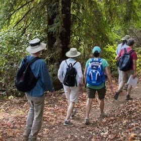 summer hike banner