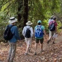summer hike banner