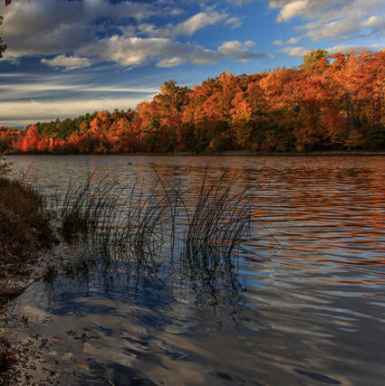 scotts-run-lake-troy-snider